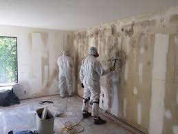 Why You Should Choose Our Mold Remediation Services in Lithia Springs, GA